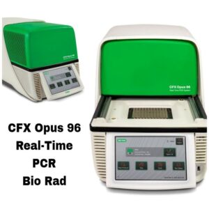 CFX opus 96 Real-time PCR Bio-Rad